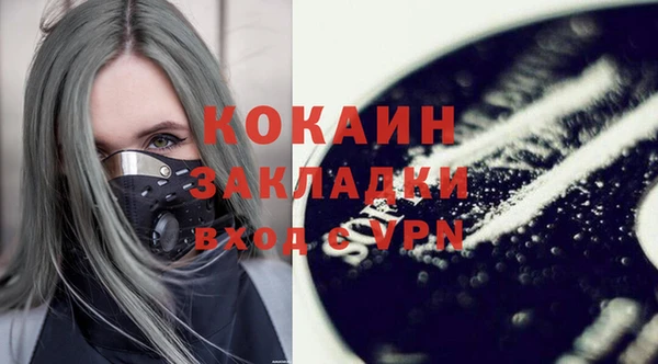 прущие грибы Куйбышев