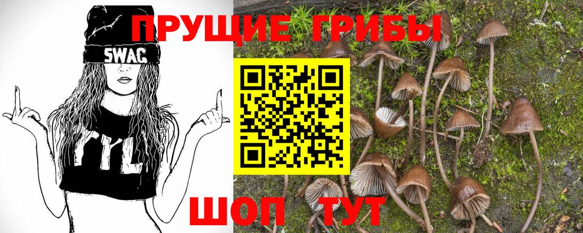 Камень-на-Оби  Псилоцибиновые грибы MAGIC MUSHROOMS  Вход с VPN  Галлюциногенные грибы ЛСД 