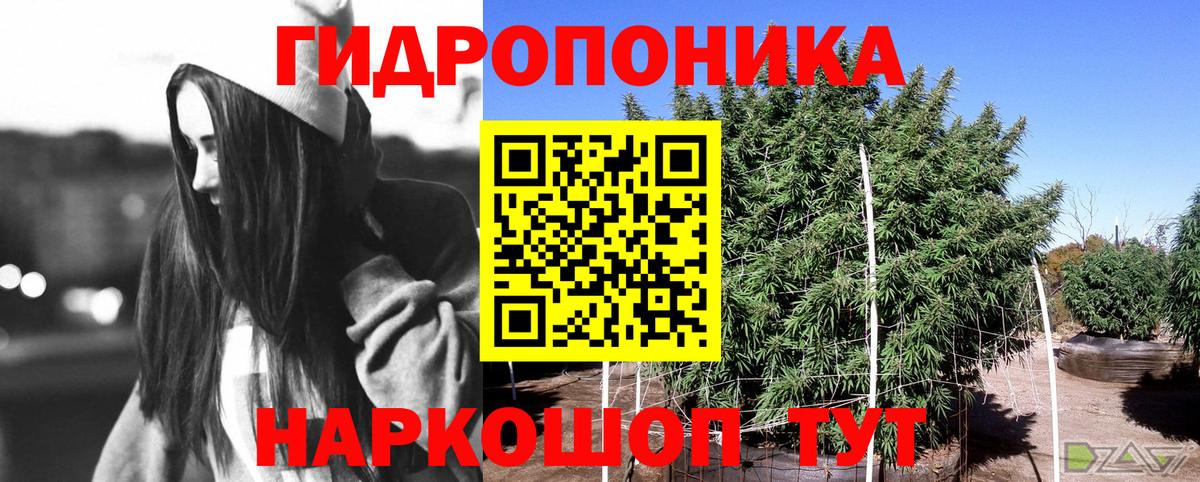 Камень-на-Оби  Бошки марихуана White Widow  Бошки марихуана планчик  Вход с VPN 